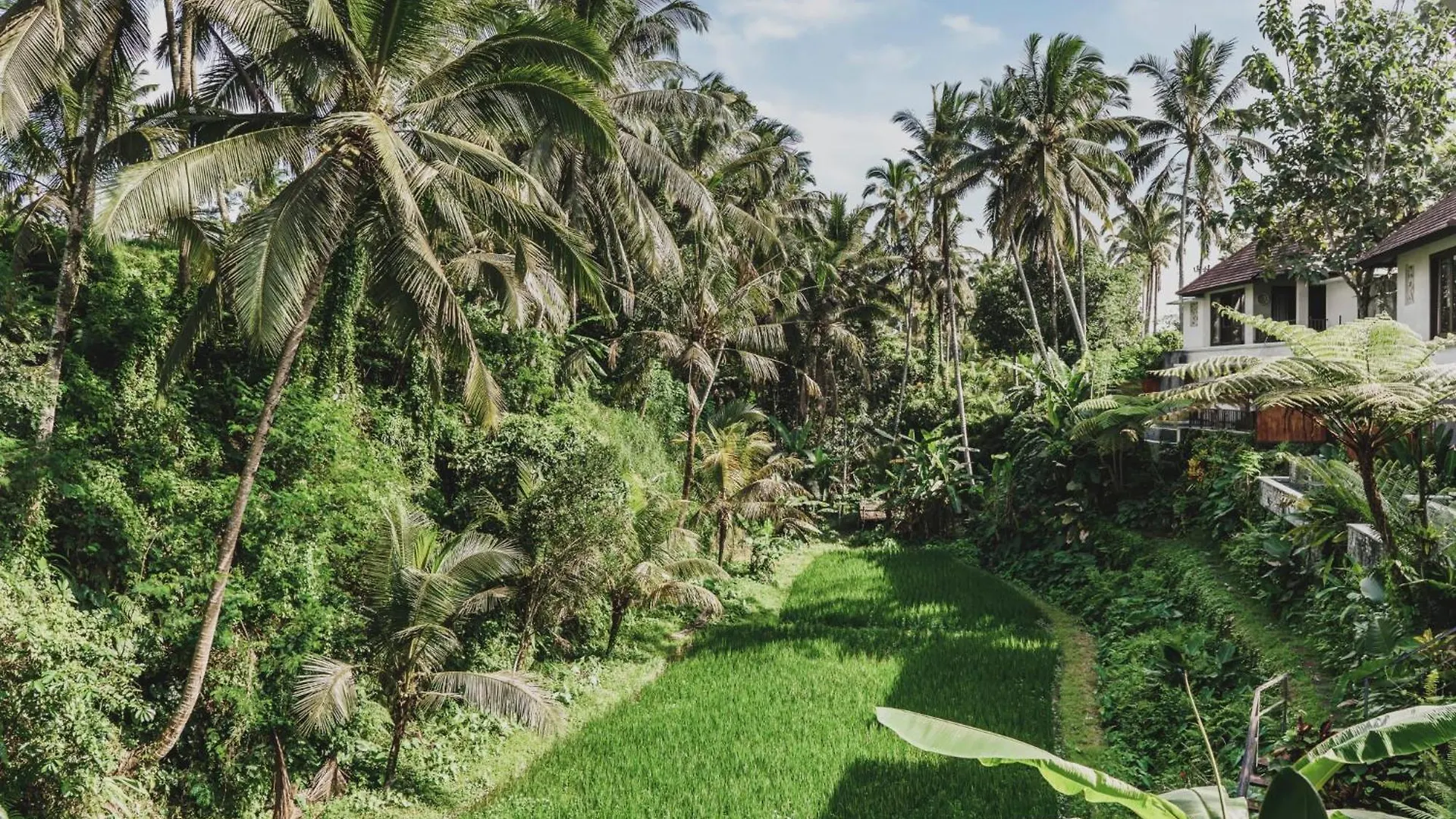 Dedary Resort & Spa Ubud By Ini Vie Hospitality Indonezja