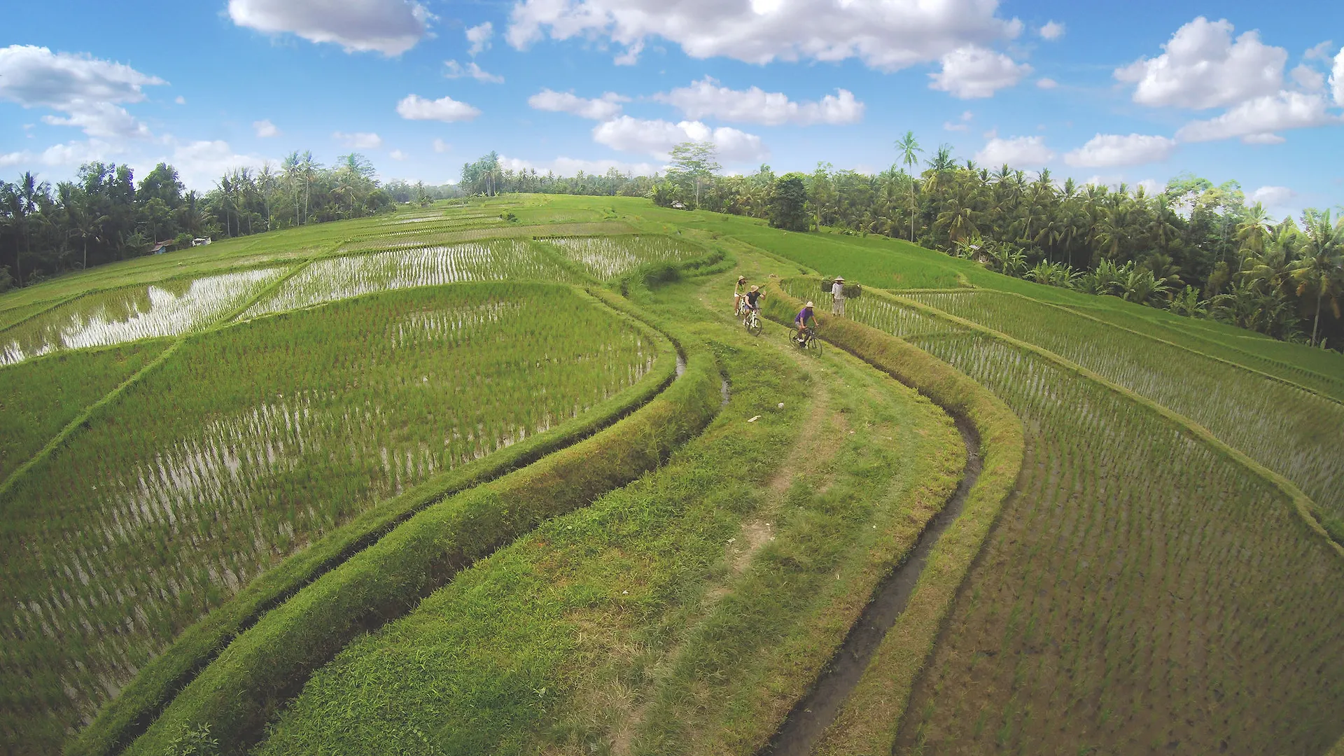 Dedary Resort & Spa Ubud By Ini Vie Hospitality