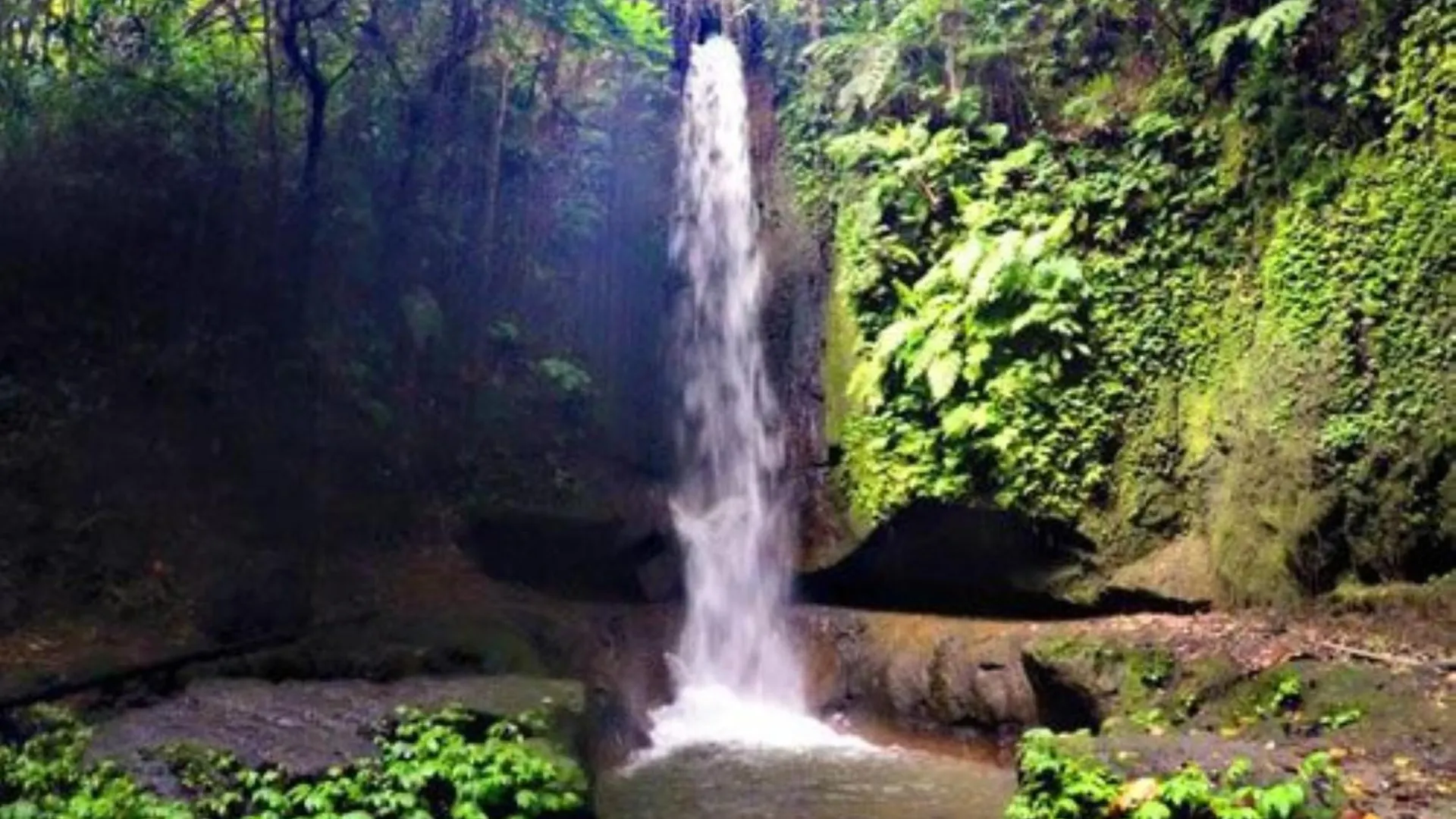 ****  Dedary Resort & Spa Ubud By Ini Vie Hospitality Indonesia