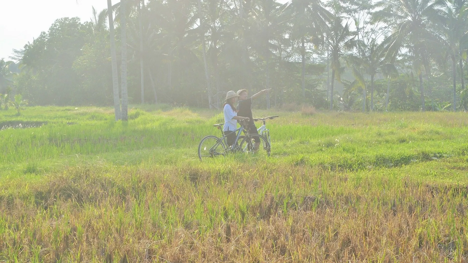 Dedary Resort & Spa Ubud By Ini Vie Hospitality Ubud (Bali)