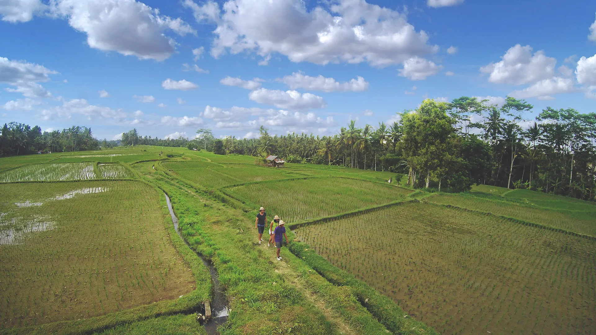 Dedary Resort & Spa Ubud By Ini Vie Hospitality 4*,